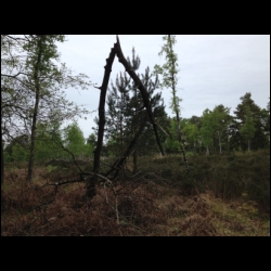 IMG_3127.html