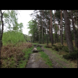 IMG_3128.html