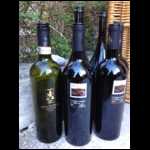 20140503VillabeLeChantCouvertDeMorts01.html